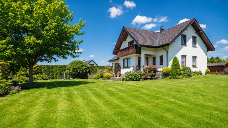 Explore Practical German Lawn Maintenance Tips