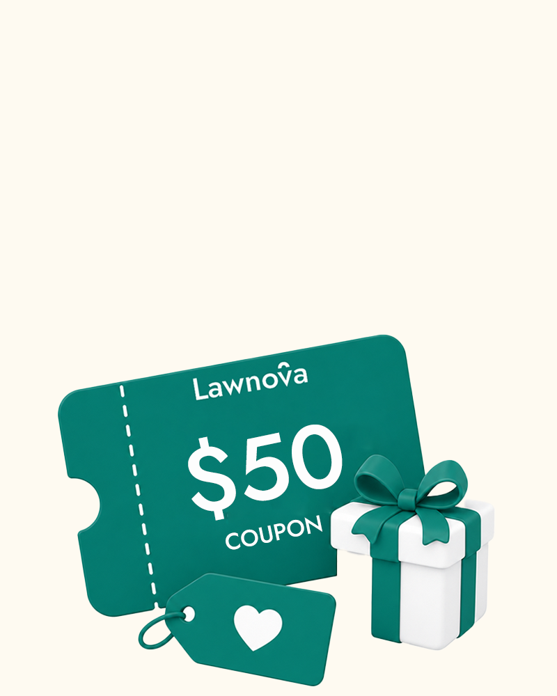 Welcome Gift